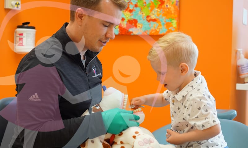 Busting the baby teeth myths