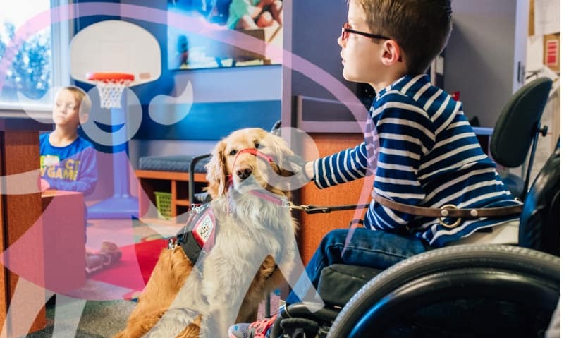 patient in wheelchair pats service dog