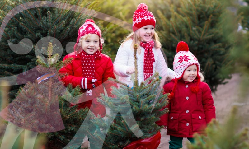 Holiday family traditions