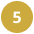 5 bullet