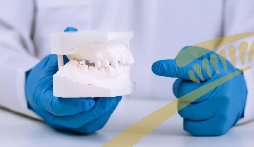 Understand a malocclusion.