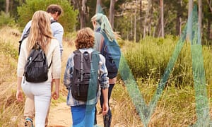Things to do in Greenville