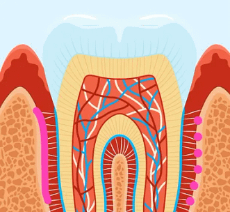 How It Works - Ortho Arch